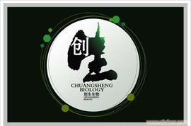 VI設計的專業力量 解析杭州宏光圖文與ebdoor的圖文設計制作服務