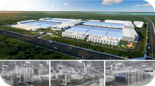 濟寧市2023年綠色低碳高質(zhì)量發(fā)展現(xiàn)場觀摩會聚焦無窮食品泗水基地及項城網(wǎng)站建設(shè)