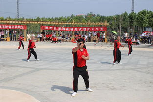 項城市鞭陀協(xié)會成立與項城網(wǎng)站建設(shè)